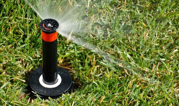 Consells per l’arribada de la primavera